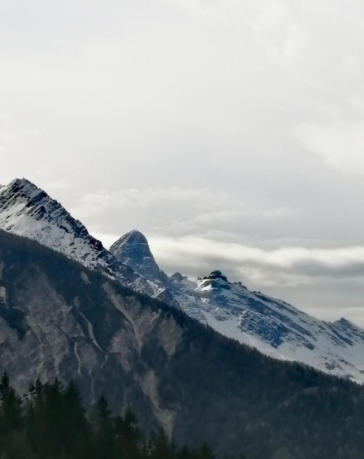 Appartamento al sole Pieve di Cadore Esterno foto